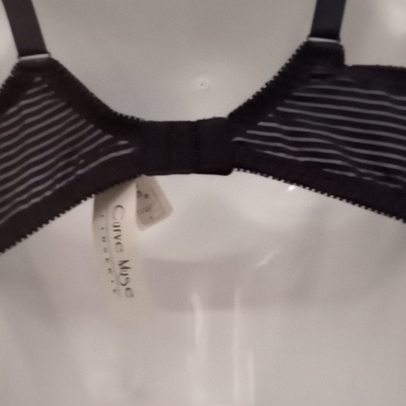 Curve Muse Satin & Mesh Striped Bra - Picture 8 of 16